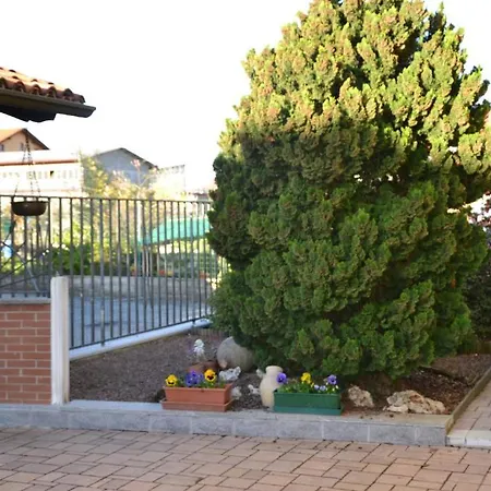 Mimosa Couette-café *