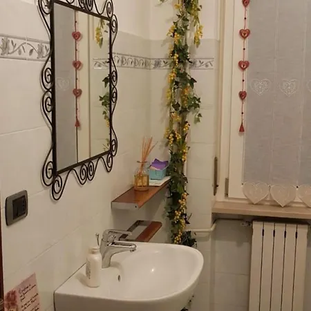 Mimosa Couette-café